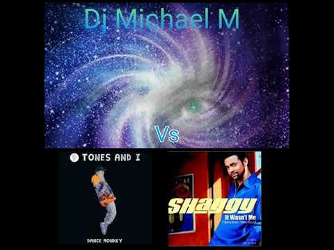 DJ MICHAEL M  -  Dance Monkey It Wasnt Me