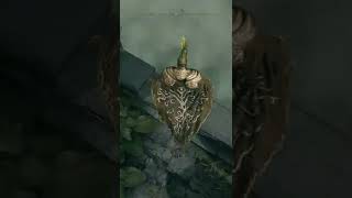 ELDEN RING STORMVEIL CASTLE SECRET AREA 😲