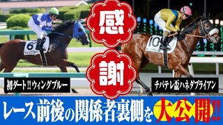 ウィングブルー3戦目とハネダブライアンチバテレ盃出走！レース裏側公開