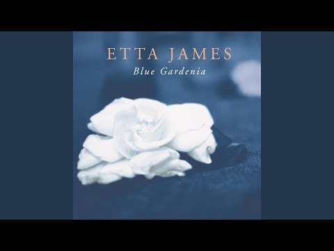 Playlist Etta James Top 24 Songs