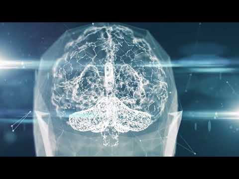 Unleashing the Brain: Mankind's Next Evolutionary Leap?