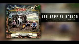 Calibre 50 (2017)- Les Tape El Hocico (Letra)