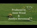 Teletubbies End Credits 2006