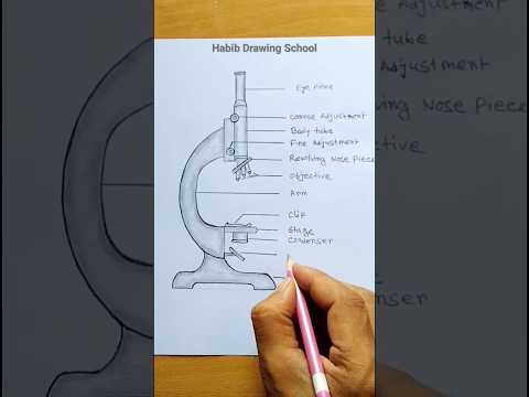 Microscope Drawing #microscopedrawing #shorts #biology