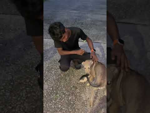 Started my mood free journey today. Let’s see where raw honesty takes me #moodfree #day1