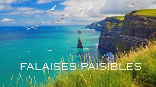 Falaises Paisibles et Mouettes –2 Heures de Sons de l’Océan pour la Détente et le Soin de la Mémoire