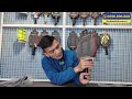 Vợt Pickleball Paddletek Bantam ESQ-C 14.3