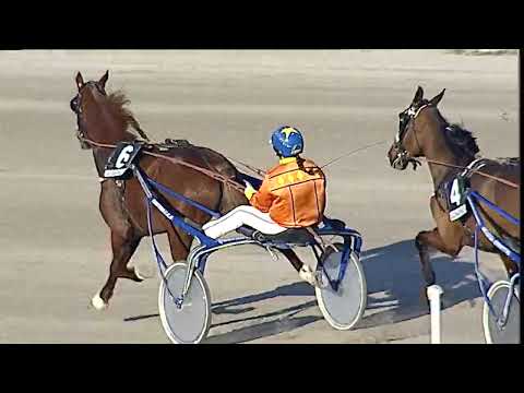 Napoli Trotto 29/01/2023 - 5ª corsa