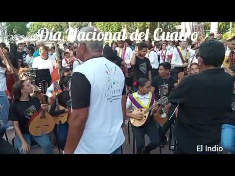 Día Nacional del Cuatro,  Plaza Bolivar Maracay, Edo. Aragua
