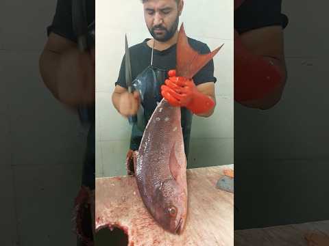 How to clean Red Snapper without skin & bones #fishcutting