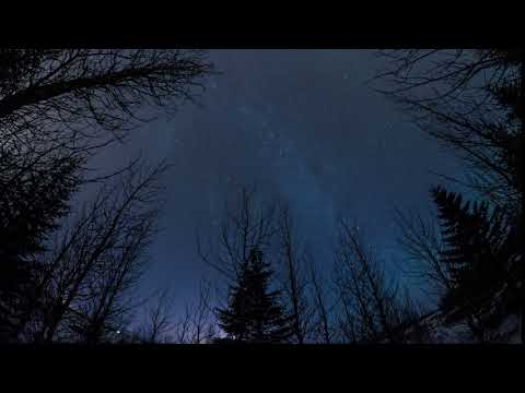 The 5 Million Star Hotel