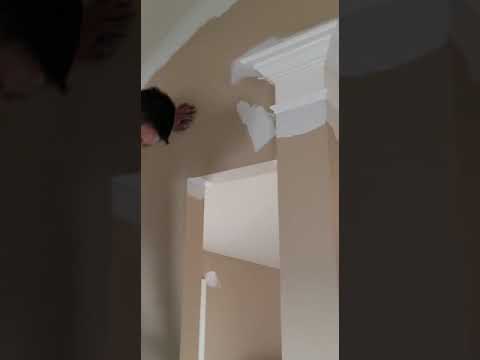 Video #16