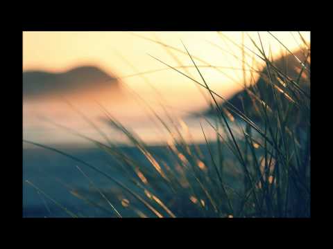 Steve Angello & Sebastian Ingrosso vs Axwell - Watch The Umbrella (Luc Dacosta Mix)