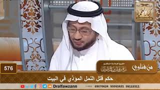 حكم قتل النمل المؤذي في البيت