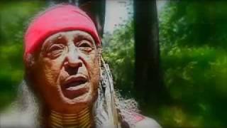 Little Hawk - Native American Wisdom | Indigenous Storytelling