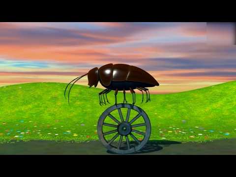 El caballo verde que hace piruetas - La granja de Ramón