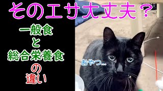 【猫動画】一般食と総合栄養食の違い