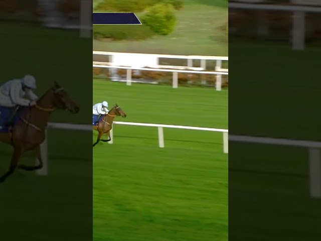 Thumbnail for Post ID: EvhvjPRhbMo