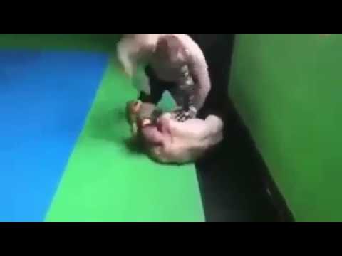 Иван - Кюстендилеца VS. Любо Делев - професионалният боксьор :)