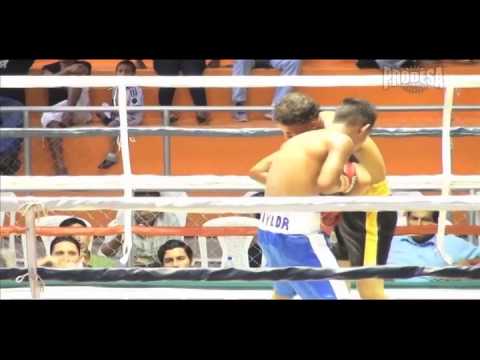 Pelea Alexander Taylor vs Gerardo Sandoval - Prodesa