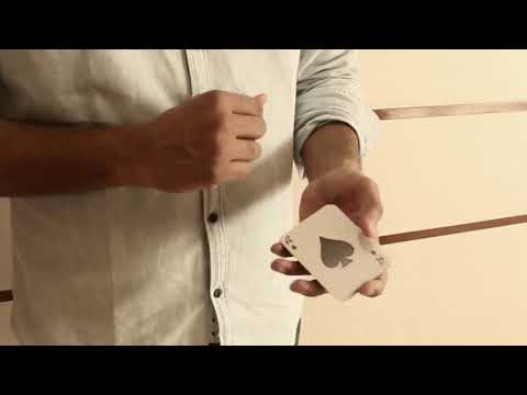 Magic Encarta Presents Palm Switch & Palm Control by Vivek Singhi