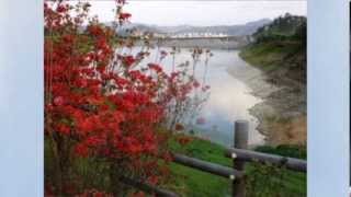 Bach: Prelude & Fugue in C BWV, 846 (Andras Shiff, piano)