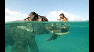 Hercules And Love Affair - Boy Blue