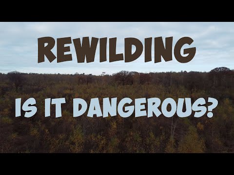 REWILDING: Controversial Conservation [VIDEO ESSAY]