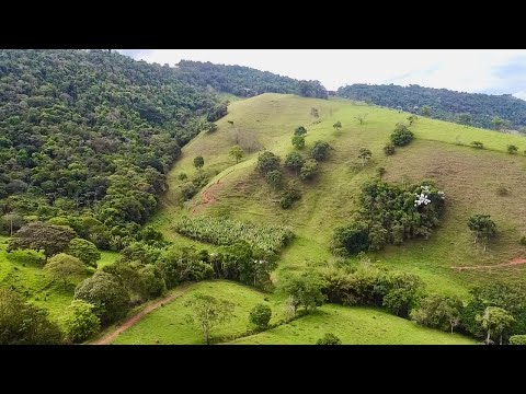 Terreno de 5 Alqueires Paulista à Venda em Silvianópolis no Sul de Minas Gerais 