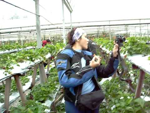 cameron with maznah zolkifli