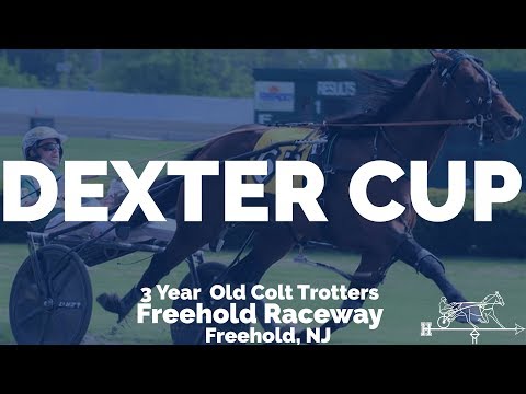 2019 Dexter Cup Final - Osterc #Hambo19