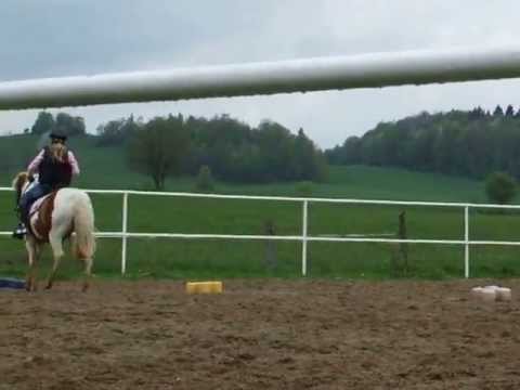 Kłus na kucu Łasuchu - Agroturystyka Podkówka