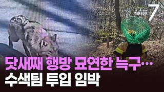 닷새간 굶주렸는데 늑구 건강 우려에 야산 수색팀 투입 '임박' [뉴스7]