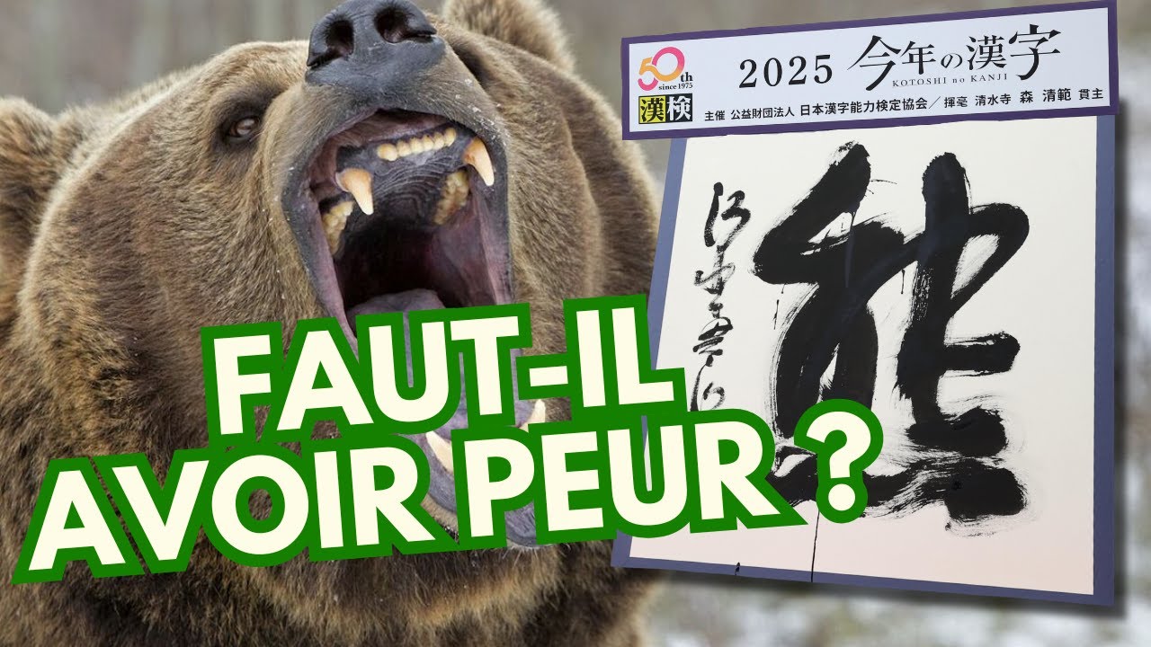 Pourquoi les attaques d’ours explosent au Japon ? 🐻 (熊, kanji de l’année 2025)