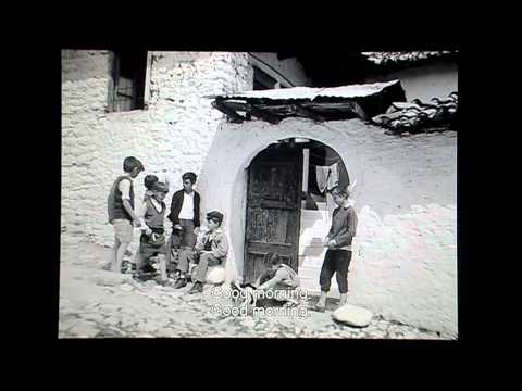 CELET TIFF ME TOMKEN  ABC NEWS