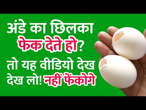 Egg Shell Craft Idea | Reuse Egg Shell | Waste Egg Shell Craft | Recycle Egg Shell
