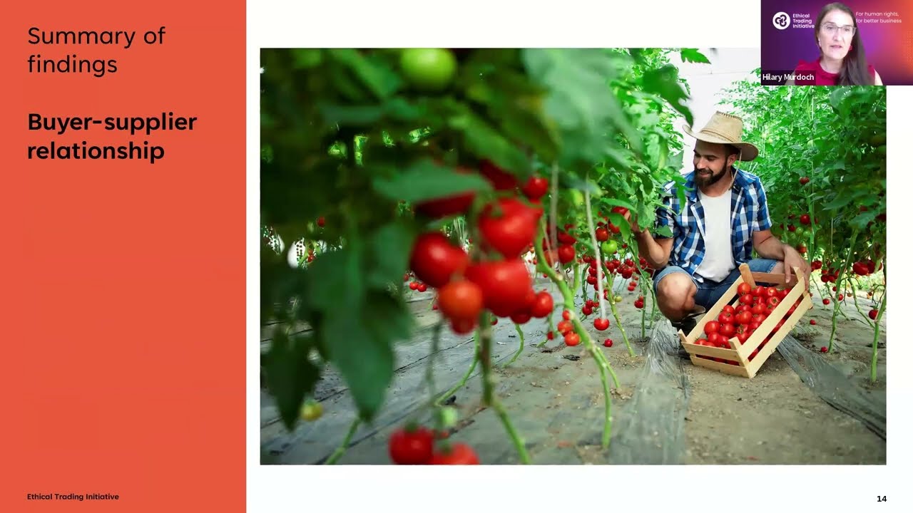 Buying food responsibly: Learning from fresh produce and ambient supply chains in Spain and Italy