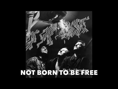 The Soul Preachers: Not Born To Be Free (1990)
