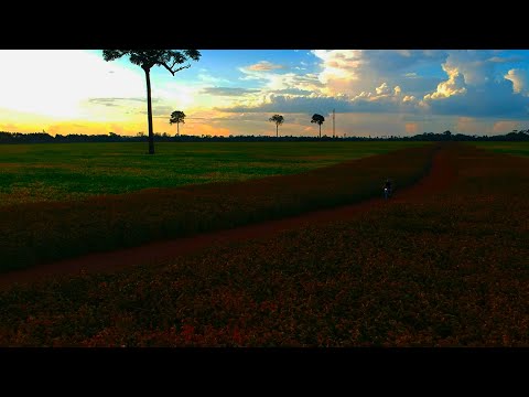 Bob Sinclar - World Hold On