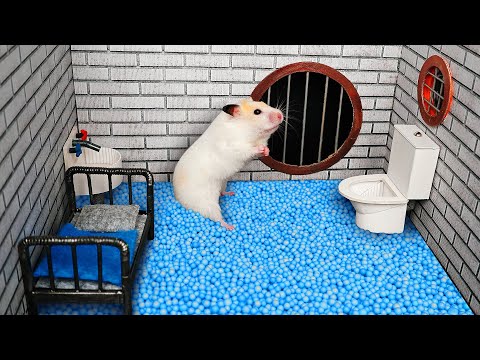 Hamster Escapes the Creative Maze for Pets in real life 🐹 in Hamster Stories Part 2