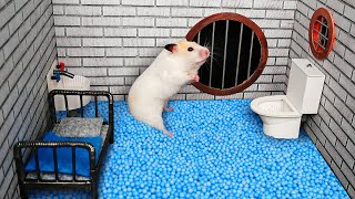 Hamster Escapes the Creative Maze for Pets in real life 🐹 in Hamster Stories Part 2 gameplay video by raymondh, 62:49 duration
