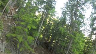Alaska Mountain Guides Adventure Park & Zip Line - Skagway, Alaska