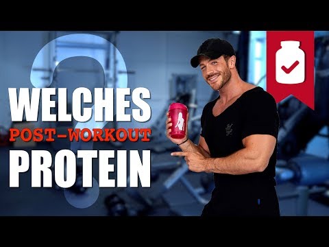 BCAA vs Eaa vs Whey what is best after training