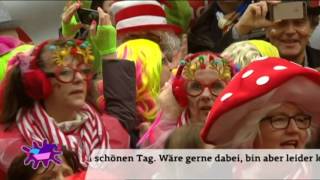 Höhner - Viva Colonia 2017