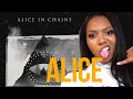 Alice In Chains Never Fade Reaction