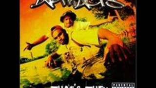 Artifacts - The Interview