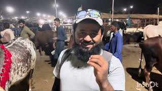 Bakra Mandi Lovers | Lahore Shauk  | Amir Bahi |