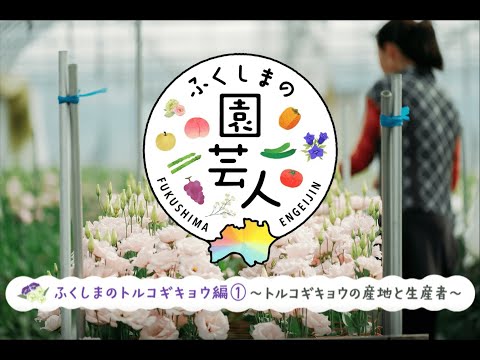 園芸 トルコギキョウ、大輪トルコギキョウ、ラッセルトルコギキョウ、プレーリーリンドウ