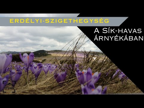 A Sík-havas árnyékában I Mountain maniac #muntiiapuseni