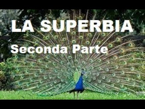 LA SUPERBIA - Don Fabio Rosini  (seconda parte )